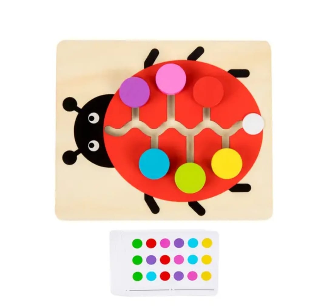 Color Matching Wooden Puzzle – Montessori Learning Toy for Kids