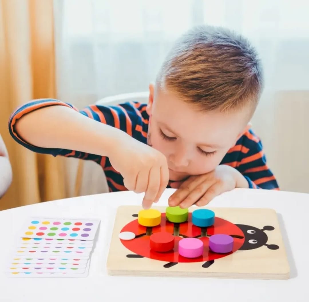Color Matching Wooden Puzzle – Montessori Learning Toy for Kids