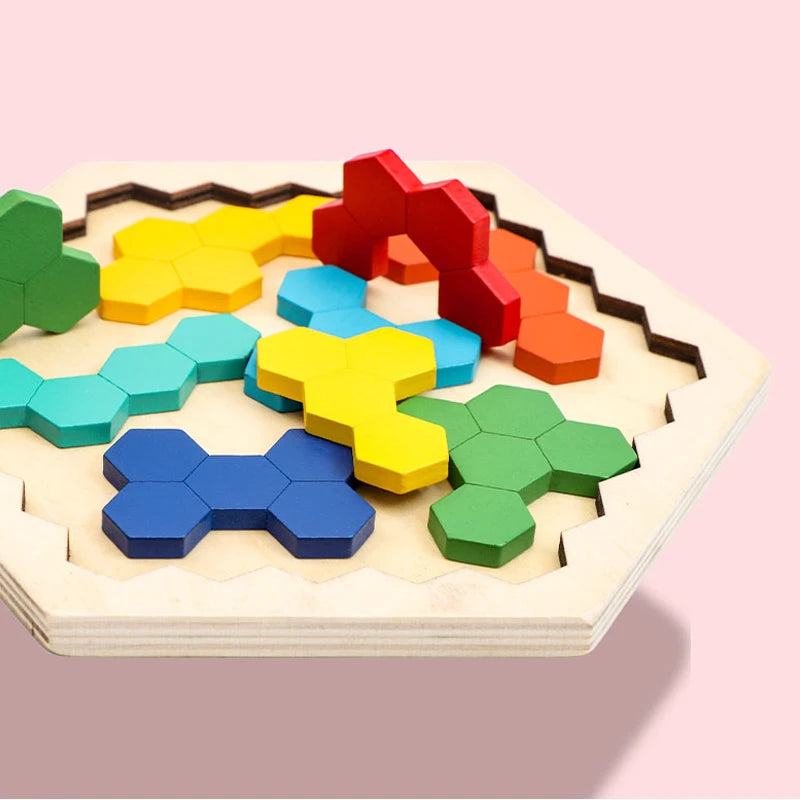 Colorful 3D Puzzle Wooden Toys